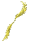 The Bow of Apollo